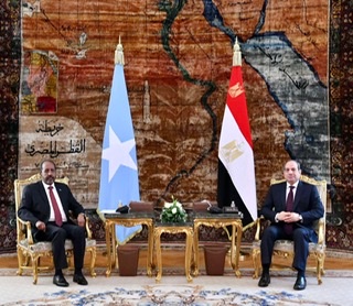 بالصور.. السيسي يستقبل رئيس جمهورية الصومال الفيدرالية بقصر الاتحادية 