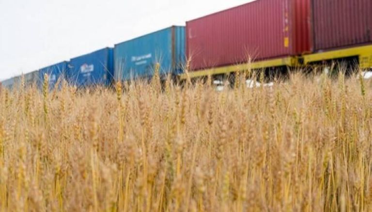 ارتياح دولى لعودة صادرات الحبوب الأوكرانية 
