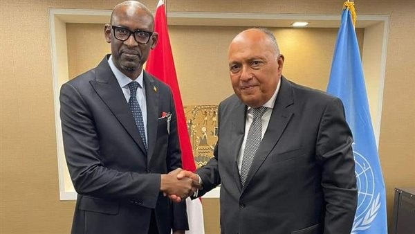 شكري  يؤكد لوزير خارجية مالى دعم مصر لجهود إحلال السلام فى مالى 