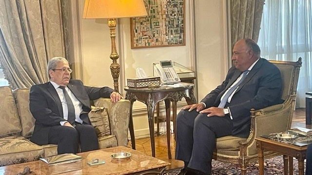 شكري يؤكد دعم مصر لتونس في الخطوات التي تتخذها نحو الاستقرار والتنمية