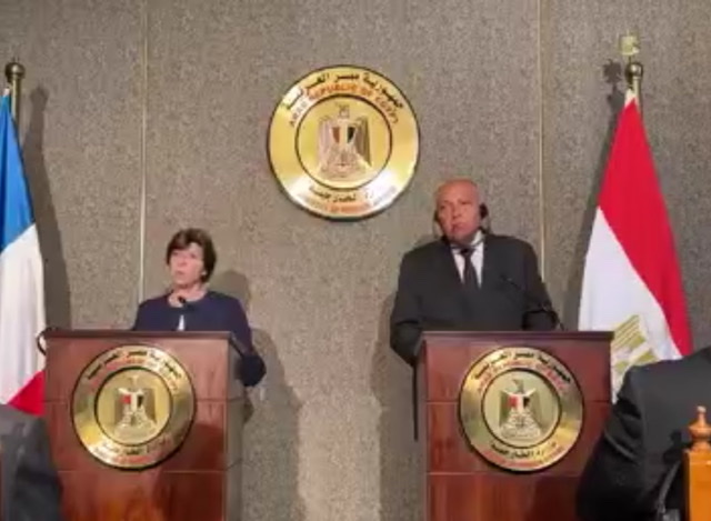وزير الخارجية : لم نحصل على 