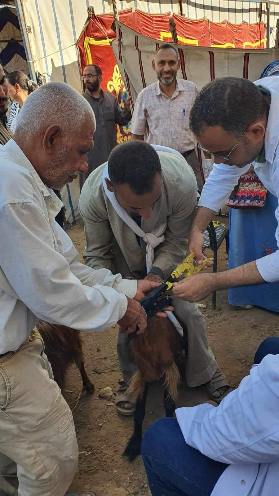 محافظ المنيا : برنامج 