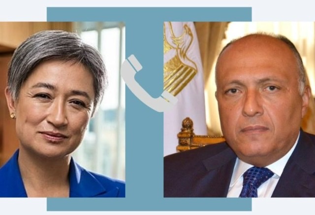  شكري يتلقى اتصالين من وزيري خارجية أستراليا والتشيك لبحث الوضع في غزة