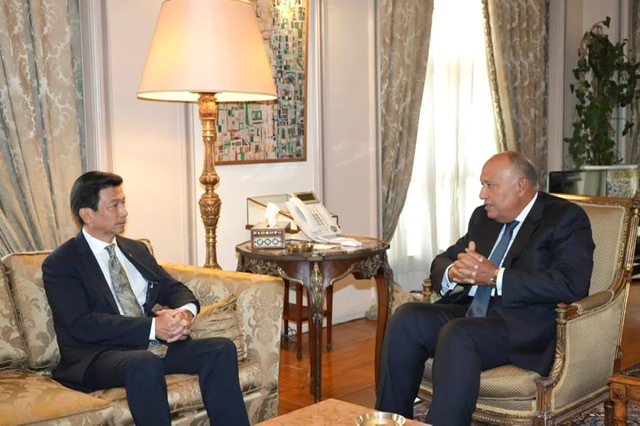 شكري ونظيره التايلاندي يؤكدان على ضرورة إرساء هدنة إنسانية تحفظ أرواح الفلسطينيين