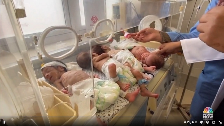 محنة 39 من الأطفال الخدج تكشف همجية الاحتلال وخراب الضمير العالمي
