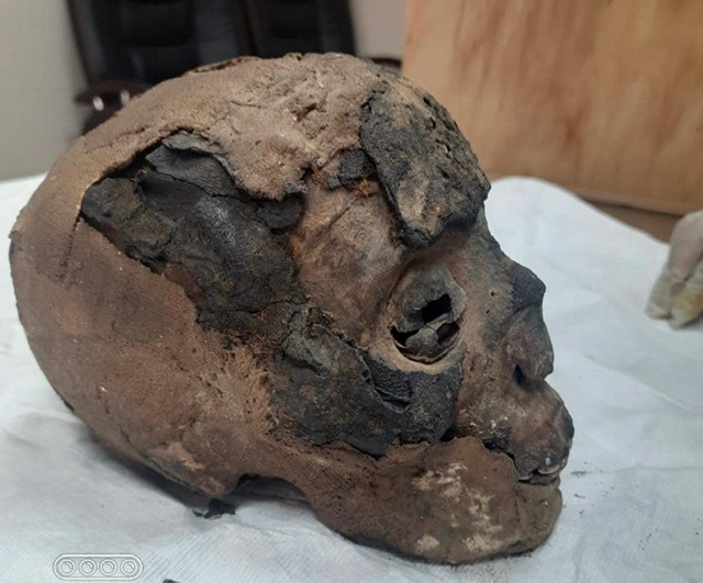 الخارجية تسلم السياحة والآثار عدداً من القطع الأثرية المستردة من نيوزيلاندا