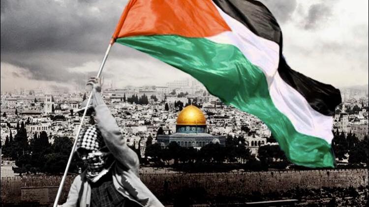 في يوم التضامن العالمي | ما أحوجنا لإعادة بناء منظمة التحرير الفلسطينية

