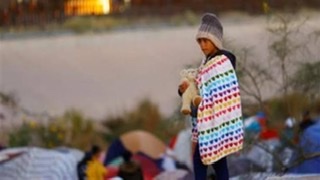 مصر تحتفل باليوم العالمى للمهاجر