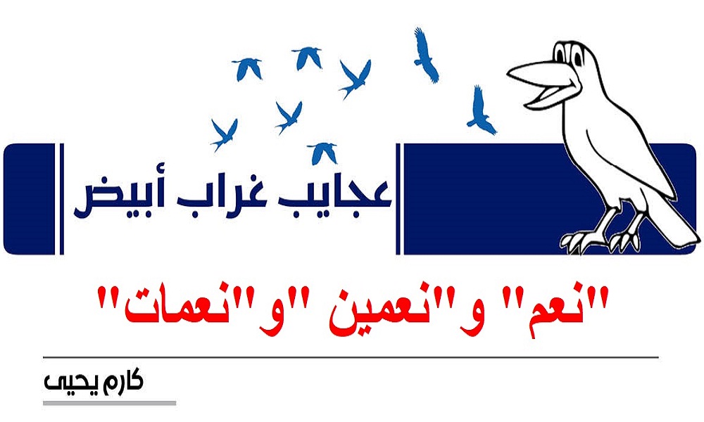 عجايب غراب أبيض | 