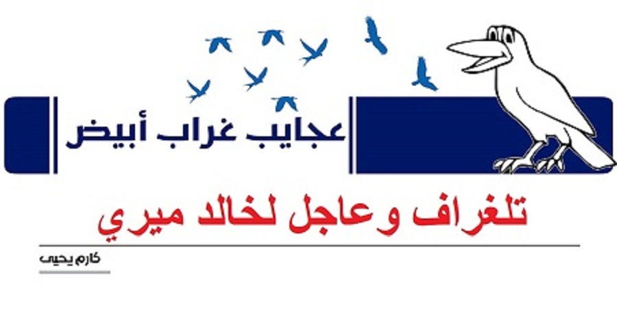 عجايب غراب أبيض | تلغراف وعاجل لخالد ميري