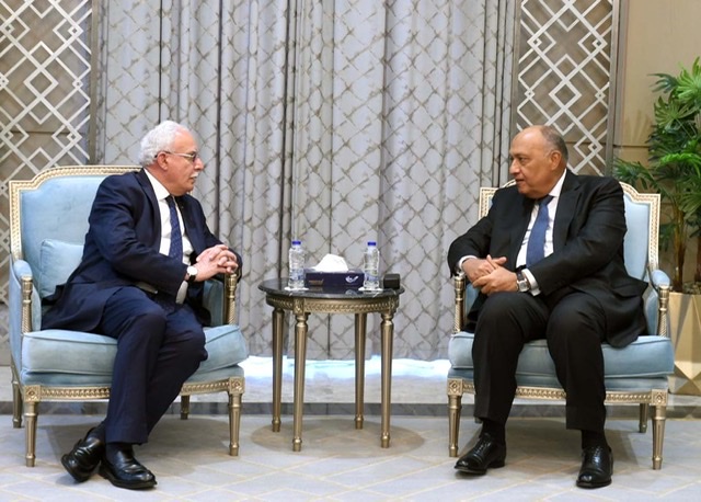 شكري يستعرض لـ المالكي جهود مصر لدعم القضية الفلسطينية 