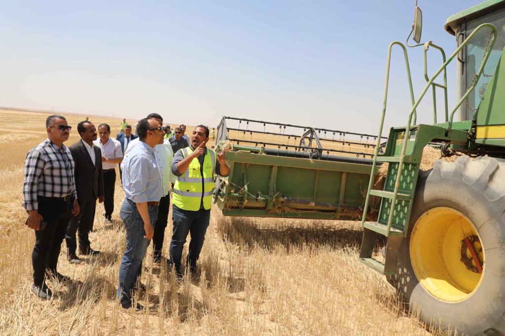 نائب محافظ المنيا يشهد بدء حصاد محصول القمح وإنتاج التقاوي بمزرعة مصنع القناة للسكر بمركز ملوي