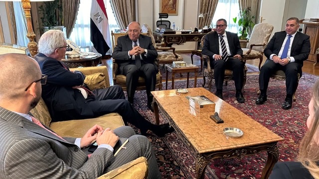شكري يبحث مع 