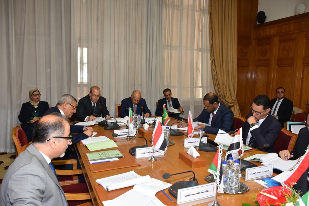 أبو الغيط يؤكد أهمية تعزيز التعاون العربي الإفريقي وعدم ترك الساحة لأطراف أخرى