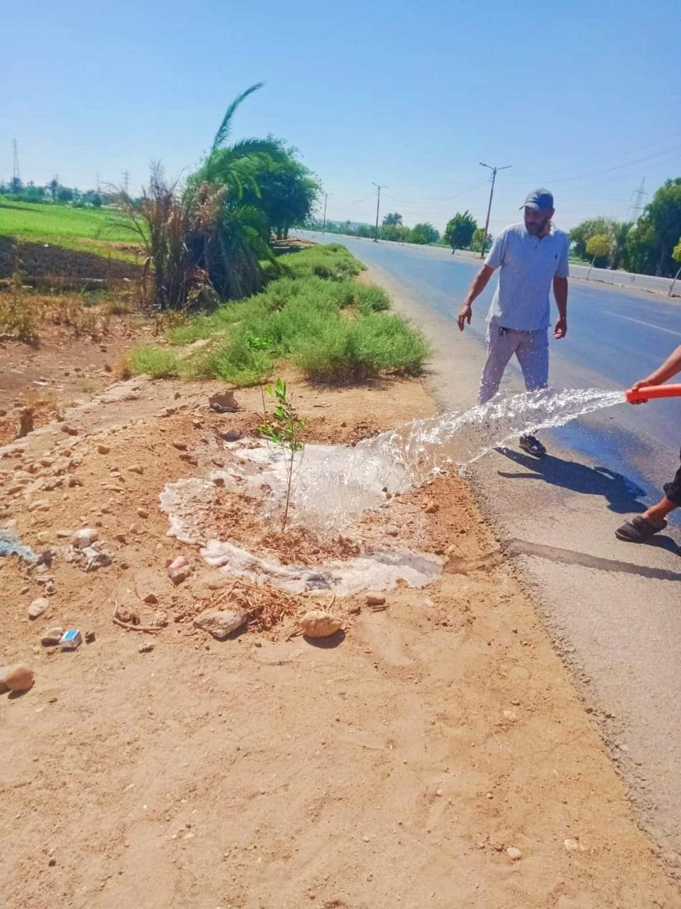 محافظ المنيا : استمرار تطوير وتجميل الميادين بمراكز المحافظة ضمن مبادرة 100 مليون شجرة