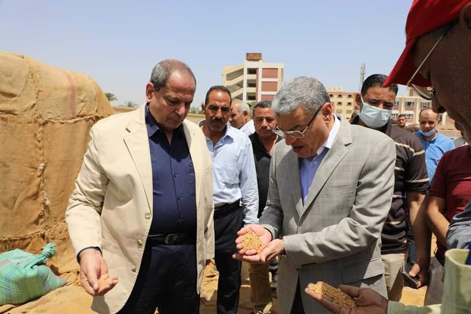 محافظ المنيا : ارتفاع نسبة تخطى المستهدف إلى 107.9%  من توريد القمح لموسم هذا العام