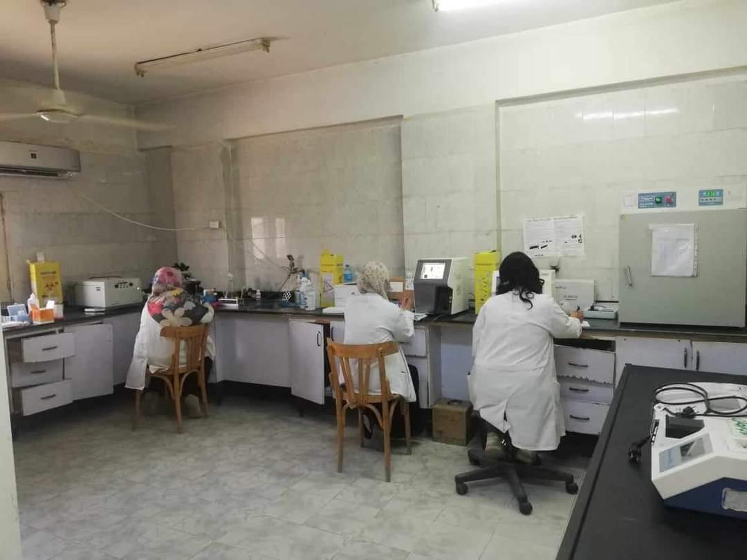صحة المنيا :إجراء 58 ألف و751 تحليلا مختلفا بمعامل المستشفيات خلال يوليو الماضى