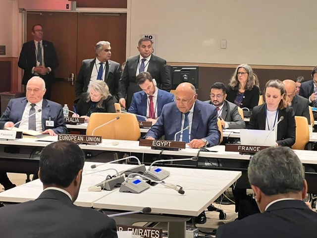  شكري يترأس وفد مصر في اجتماع لجنة الاتصال  لتنسيق المساعدات الدولية لفلسطين