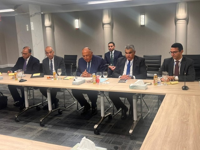 وزير الخارجية لـ نظيره الباكستاني :  نرحب بنقل الخبرات المصرية المتراكمة في مجال مكافحة الإرهاب