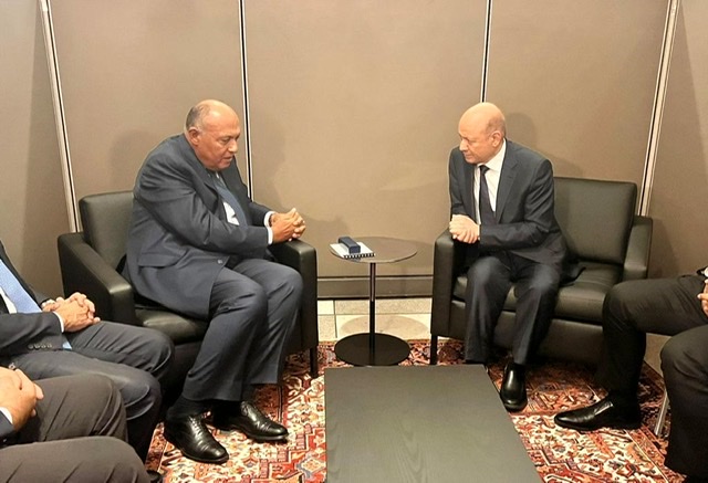 شكري يؤكد لـ العليمي ثبات موقف مصر لتعزيز الهدنة الإنسانية في اليمن
