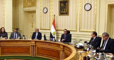 الحكومة:  هناك حوالي 9 ملايين مهاجر ولاجئ يعيشون في مصر من نحو 133 دولة