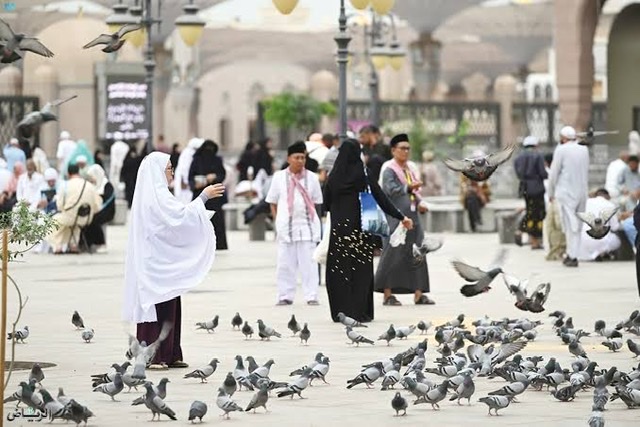 أكثر من 14 مليون زائر للمدينة المنورة بمعدلات إنفاق بلغت أكثر من 49 مليار ريال 2023 