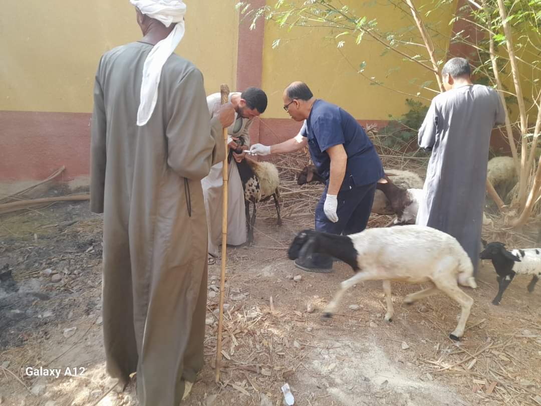 تقديم 4627 خدمة بيطرية مجانية في 8 قرى بالمنيا  