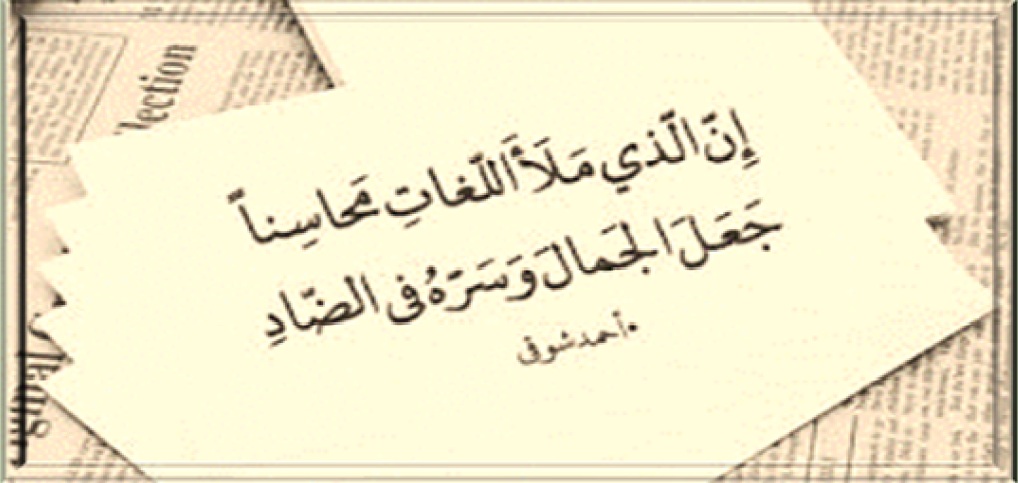 دقيقة لُغوية يكتبها عزت سلامة العاصي: (10) محالّ- محلات