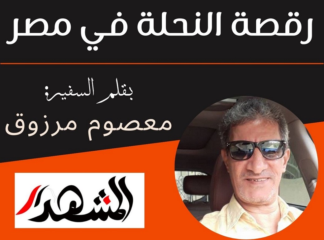 رقصة النحلة في مصر

