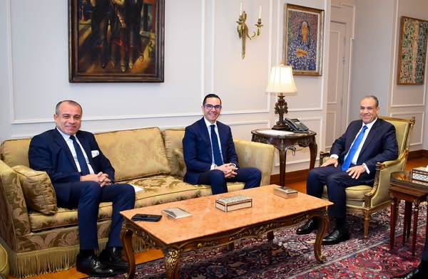 وزيرا الخارجية والاستثمار يبحثان التعاون بين الوزارتين لجذب الاستثمارات الأجنبية المباشرة

