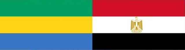 وزير الخارجية يتوجه إلى الجابون لتعزيز التعاون بين البلدبن 