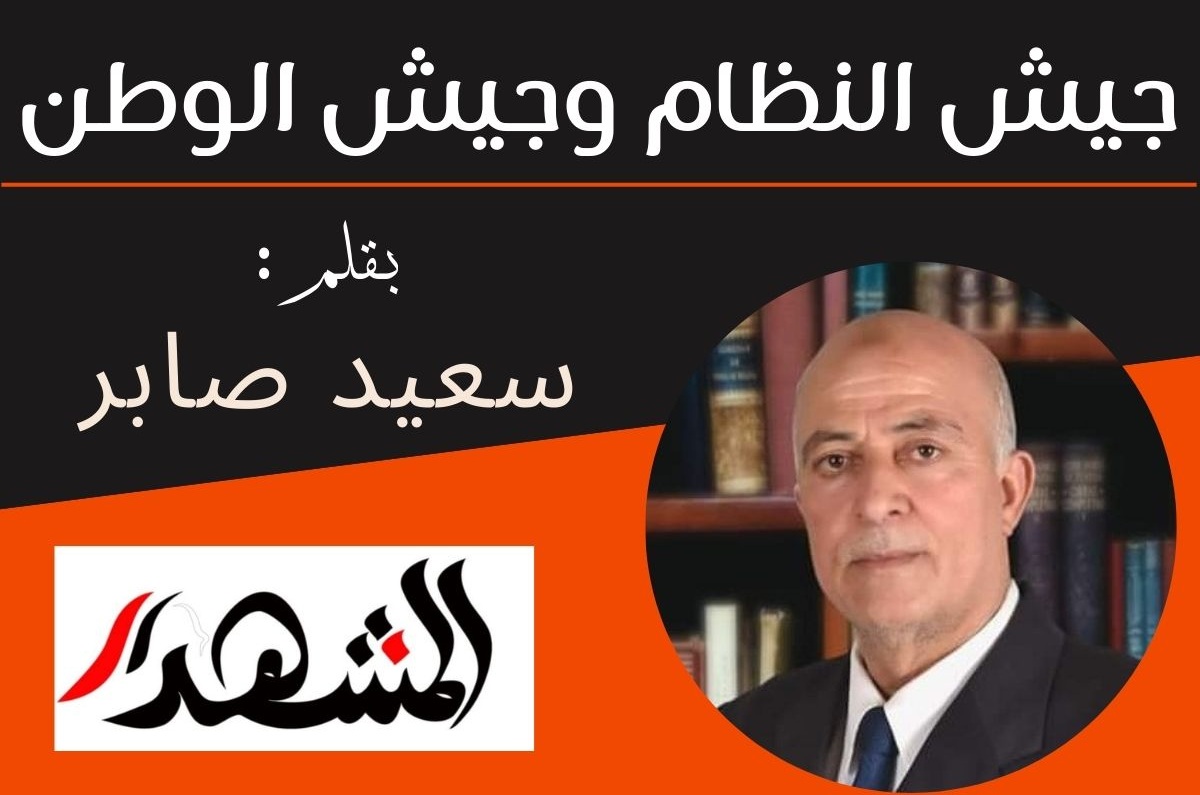 جيش النظام وجيش الوطن              

