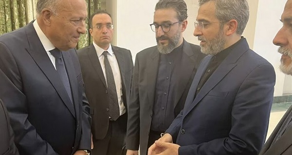 في أول زيارة منذ 45 عاما.. وزير الخارجية يصل طهران للمشاركة في تشييع 