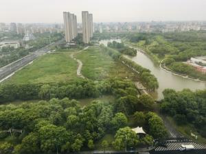 التنمية الخضراء في الصين.. تعزيز الزراعة والتشجير في الشوارع والمناطق الحضرية
