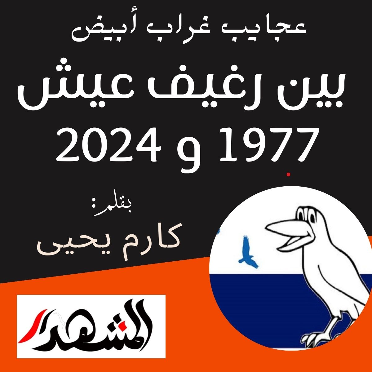 عجايب غراب ابيض | بين رغيف عيش 1977 و 2024

