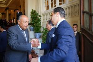 بالصور.. شكري ونظيره القبرصي يعقدان جلسة مشاورات موسعة بقصر التحرير