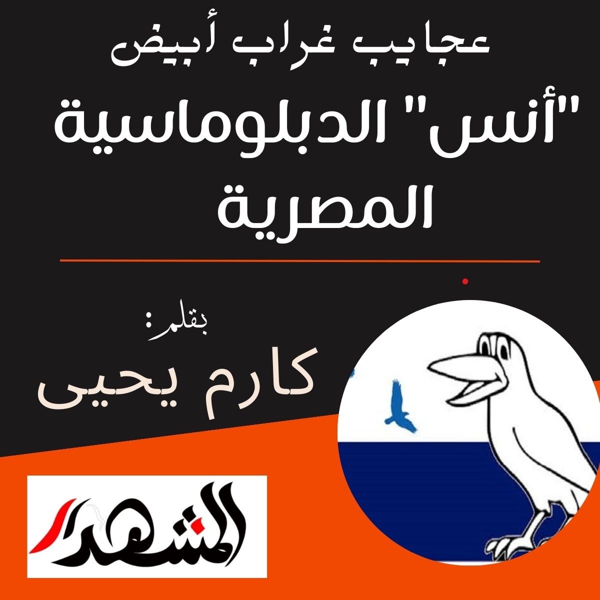 عجايب غراب أبيض |