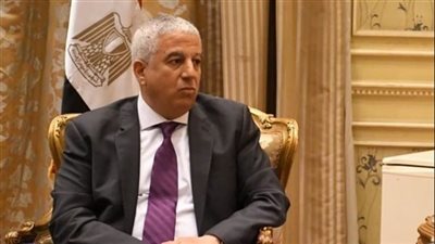 رئيس خارجية النواب: القضية الفسطينية ستظل نابضة بفضل الدور المحورى المصرى

