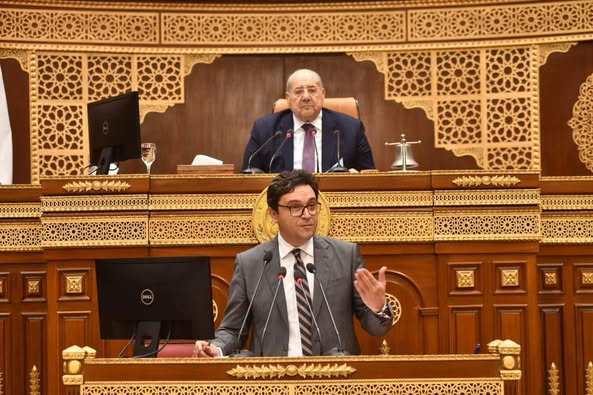 وزير الثقافة يعرض استراتيجية حماية الحرف التراثية أمام مجلس الشيوخ

