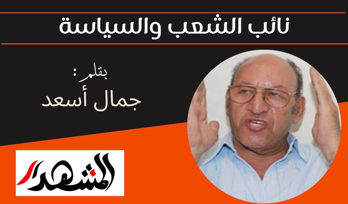 نائب الشعب والسياسة