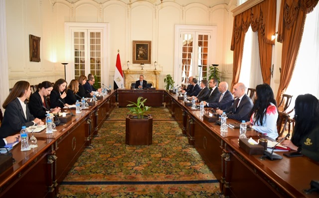 وزير الخارجية يبحث مع الممثل الأممي دعم التعافي والإعمار في غزة واستعدادات مصر للمؤتمر الدولي