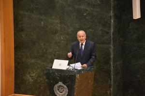 أبو الغيط: الوثيقة العربية درع لحماية الهوية والحفاظ على الإرث الوثائقي أصبح مسئولية قومية ملحة