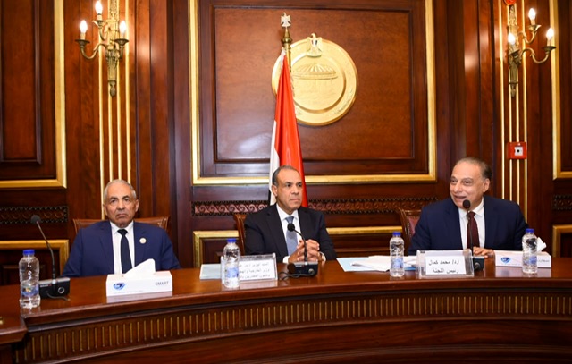 وزير الخارجية يستعرض أمام لجنة الشيوخ رؤى مصر الاستراتيجية وتطورات الملفات الإقليمية والدولية