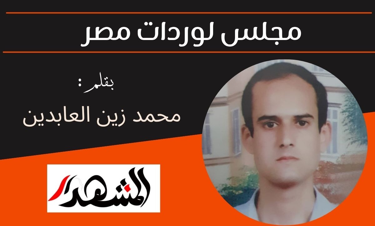 مجلس لوردات مصر