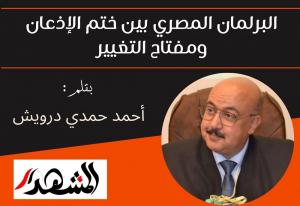 البرلمان المصري بين ختم الإذعان ومفتاح التغيير