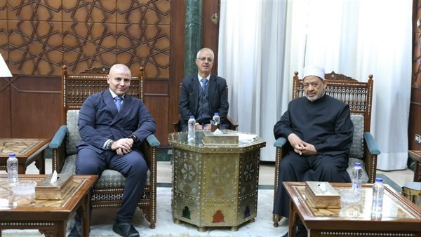 شيخ الأزهر: بعض القوى الدولية تستخدم مصطلح حل الدولتين للمناورة وليس لحل عادل 