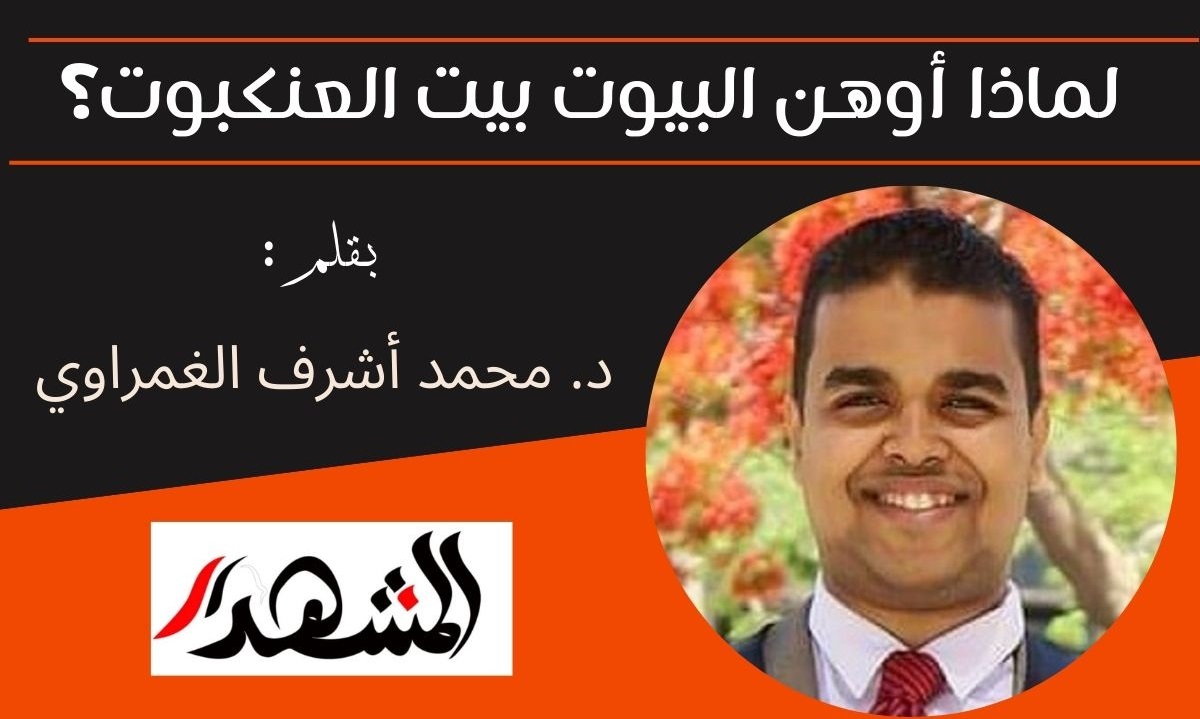 لماذا أوهن البيوت بيت العنكبوت؟