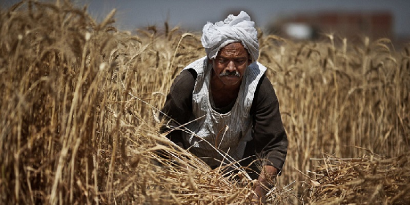 الفلاح القراري.. الجذور التاريخية والمعنى بين الماضي والحاضر







