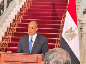 عبدالعاطي: تفعيل مجلس الأعمال المصري الإيطالي لدفع الشراكة الاقتصادية بين البلدين