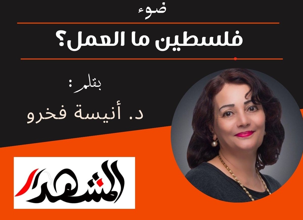 ضوء | فلسطين ما العمل؟